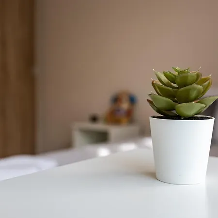 Second Next To Sea Garden